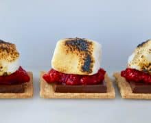 The Best Berry S’mores