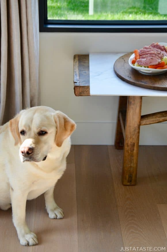 A dog sitting next to a table with The Best Slow Cooker Corned Beef and Cabbage