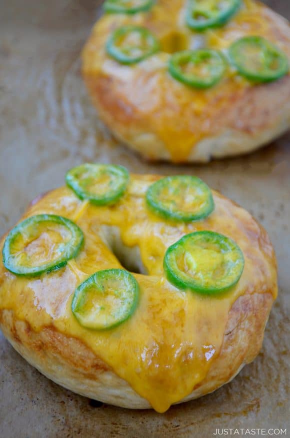 A close-up of a cheddar-jalapeno bagel