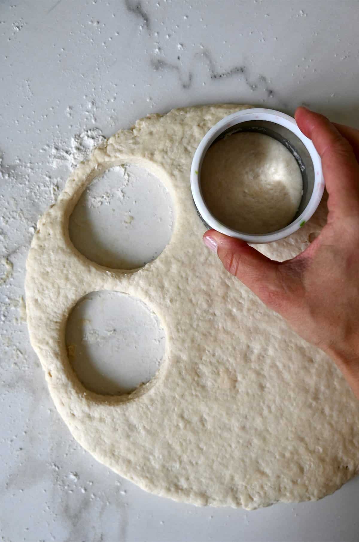 Using a round biscuit cutter to cut out biscuit dough.