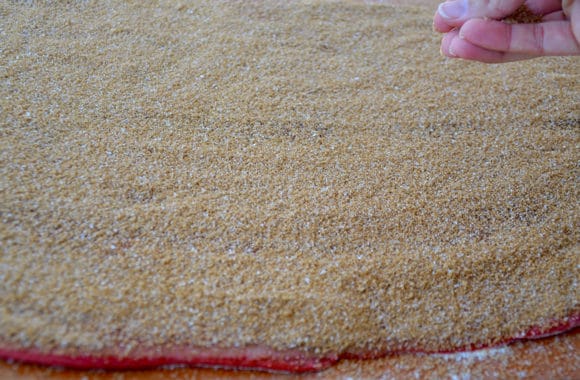 A hand sprinkling cinnamon-sugar on dough