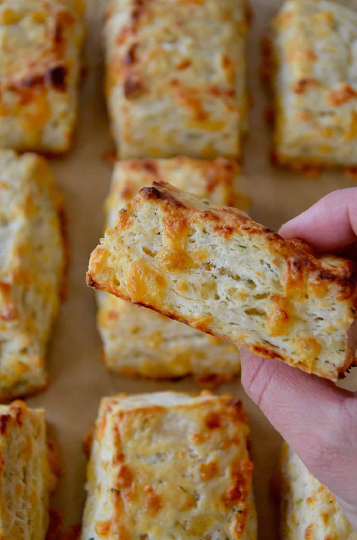 Fingers hold a cheddar herb biscuit, with rows of cheddar biscuits on parchment in the background.