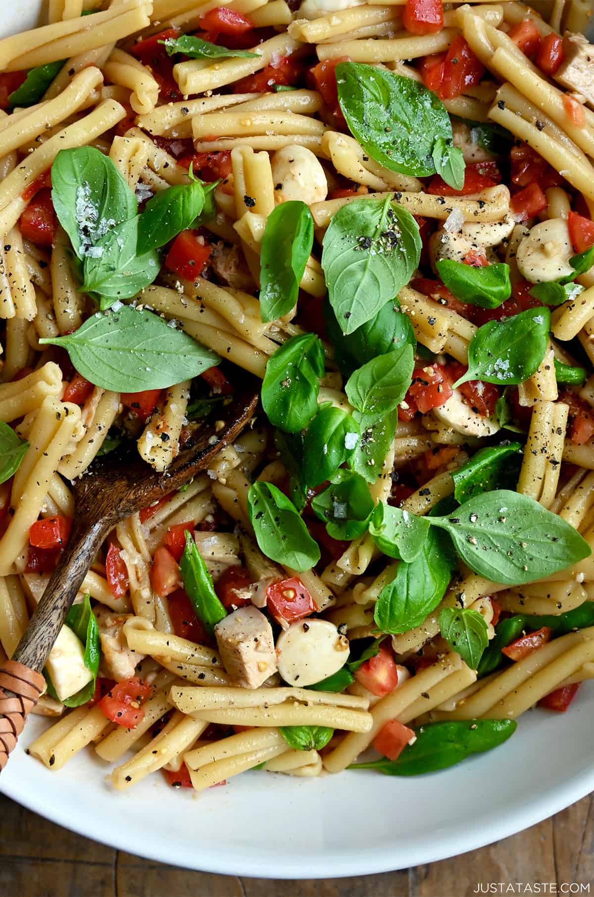 Fresh basil leaves atop Caprese pasta salad with cubed chicken breasts and balsamic vinaigrette.