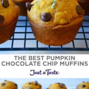 Top image: A closeup view of The Best Pumpkin Chocolate Chip Muffins on a wire cooling rack. Bottom image: Pumpkin Muffins studded with semisweet chocolate chips cooling on a wire rack.