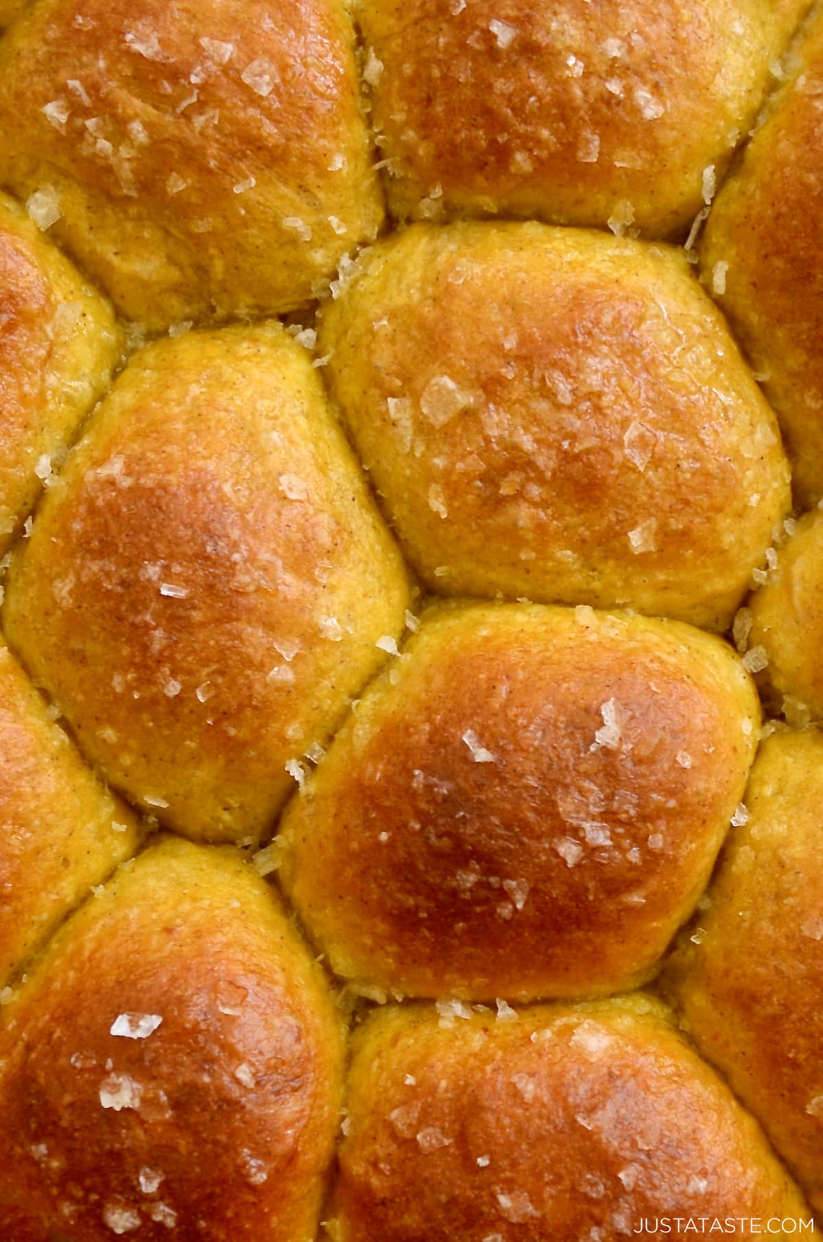 Pumpkin dinner rolls topped with large-flake sea salt.