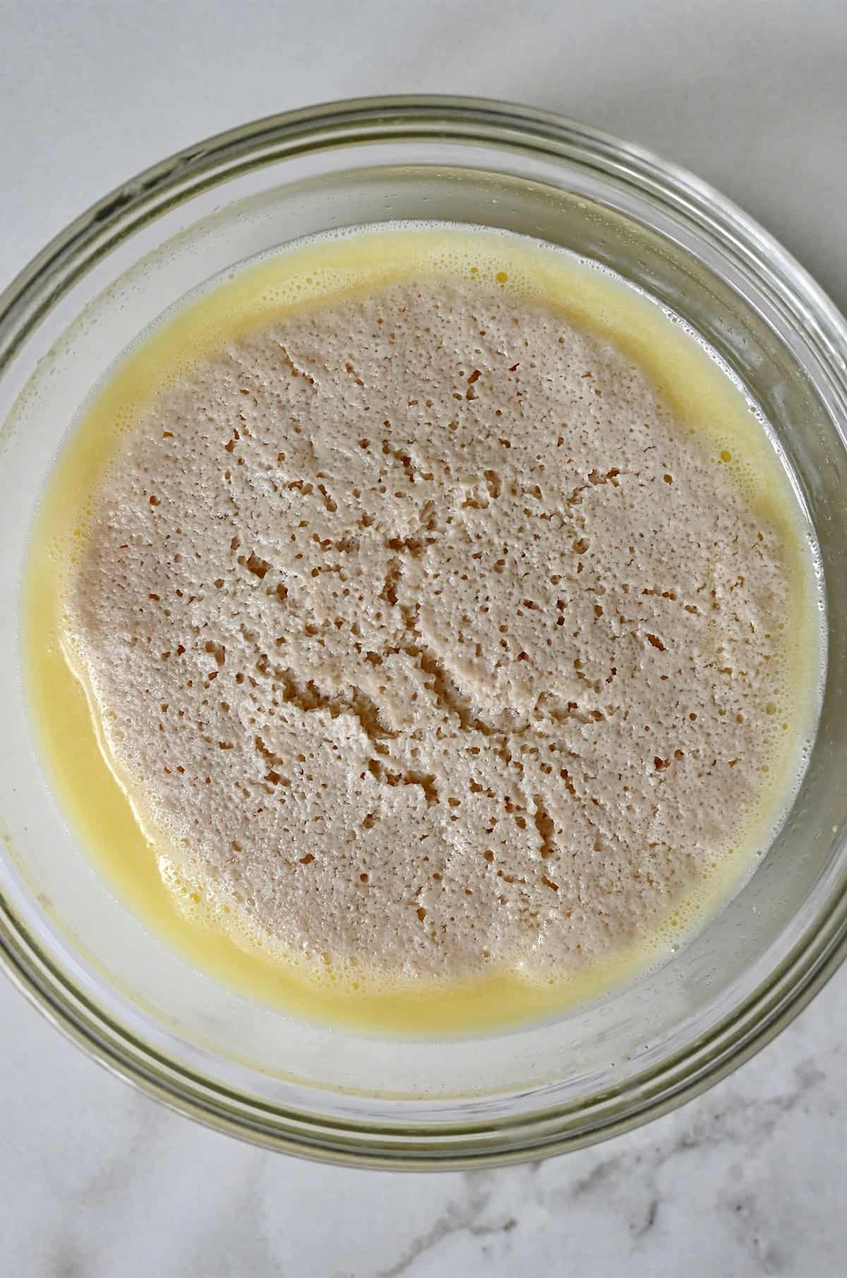 Bloomed yeast in a glass bowl.