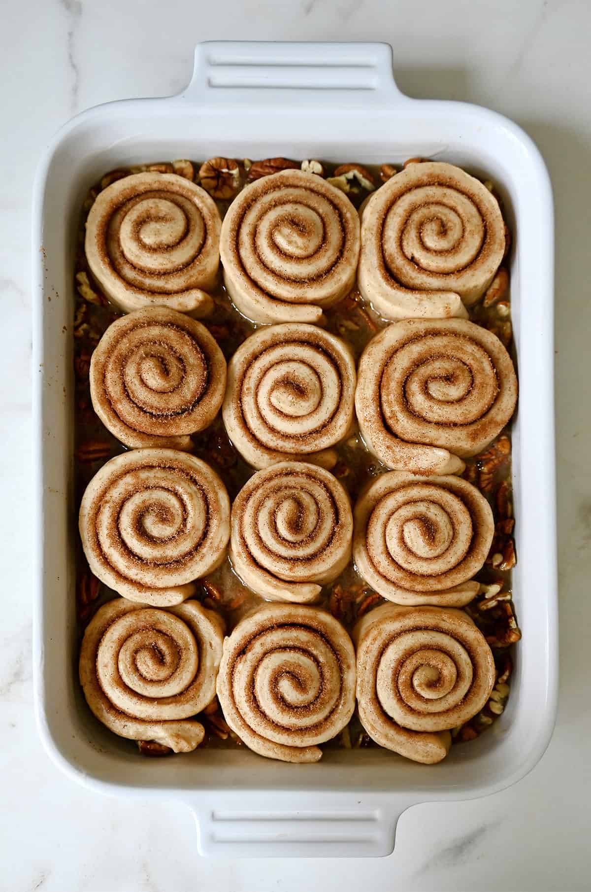 Caramel pecan sticky buns in a baking dish before being baked.