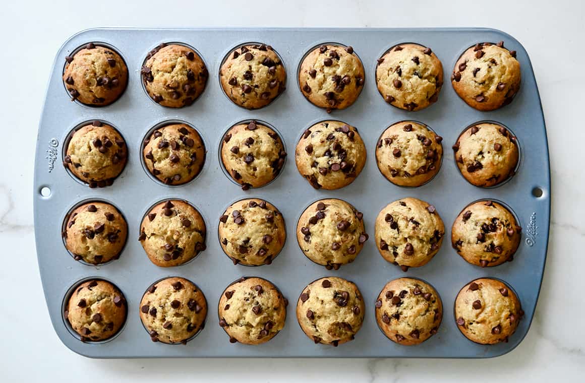 A top-down view of a mini muffins studded with chocolate chips in a muffin pan
