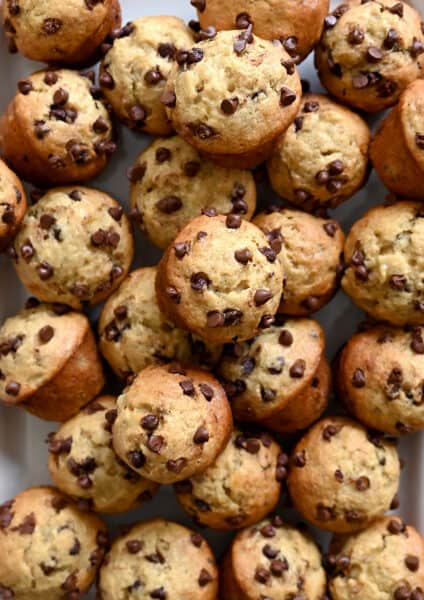 A close-up view of mini banana muffins studded with mini chocolate chips