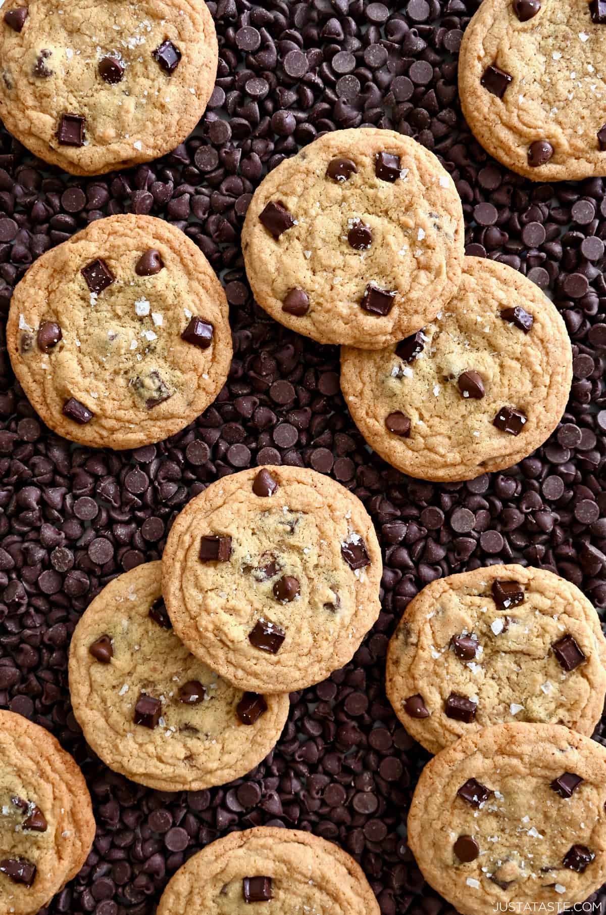 The best chewy chocolate chip cookies atop a bed of chocolate chips.