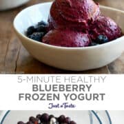 Top image: Three scoops of blueberry frozen yogurt in a white bowl with fresh blueberries. Bottom image: A bowl of a food processor containing frozen blueberries, honey and yogurt.
