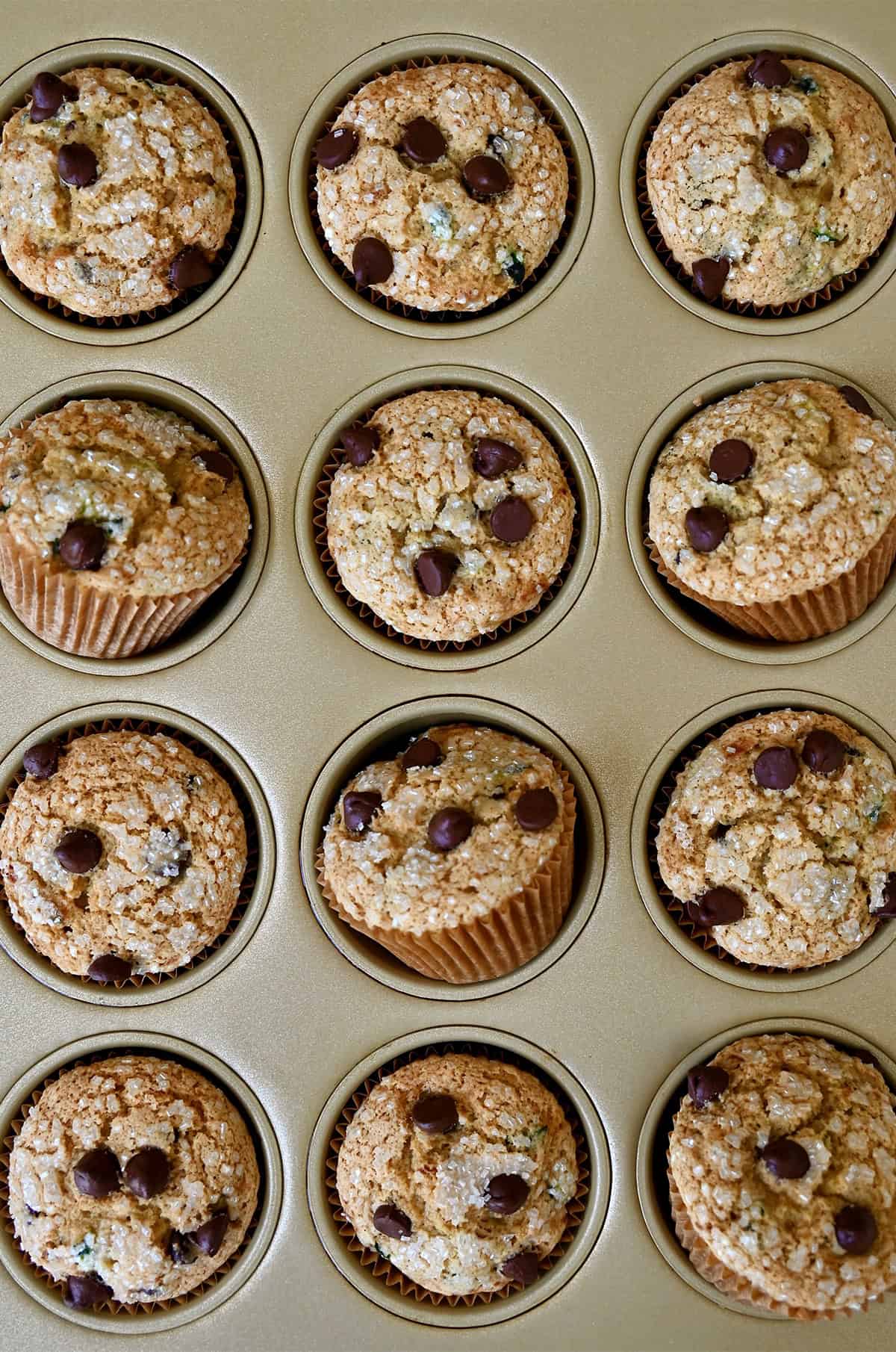 Fresh-baked zucchini muffins with chocolate chips in a muffin pan.