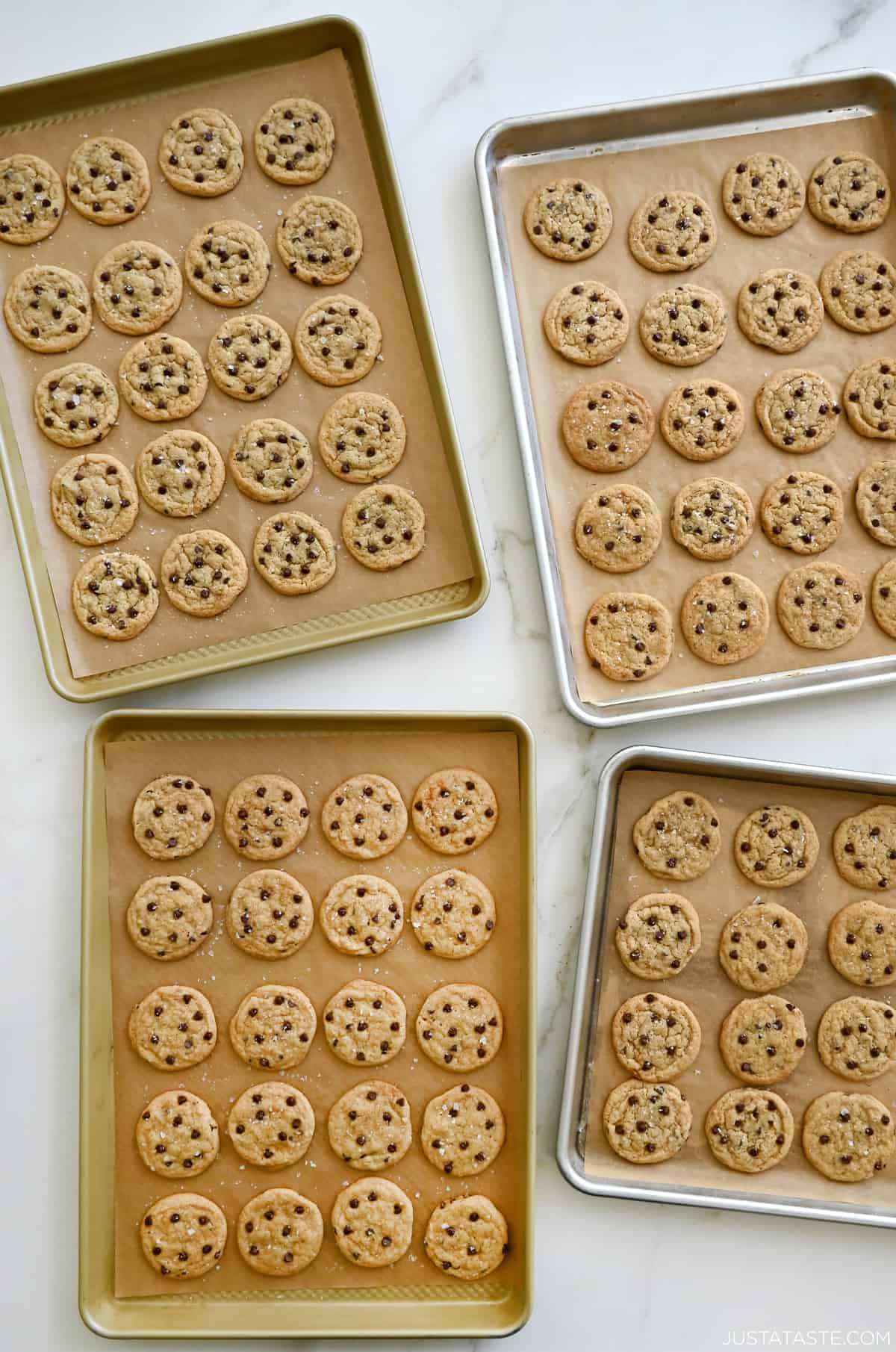 Four baking sheets all containing perfectly golden-brown mini chocolate chip cookies.