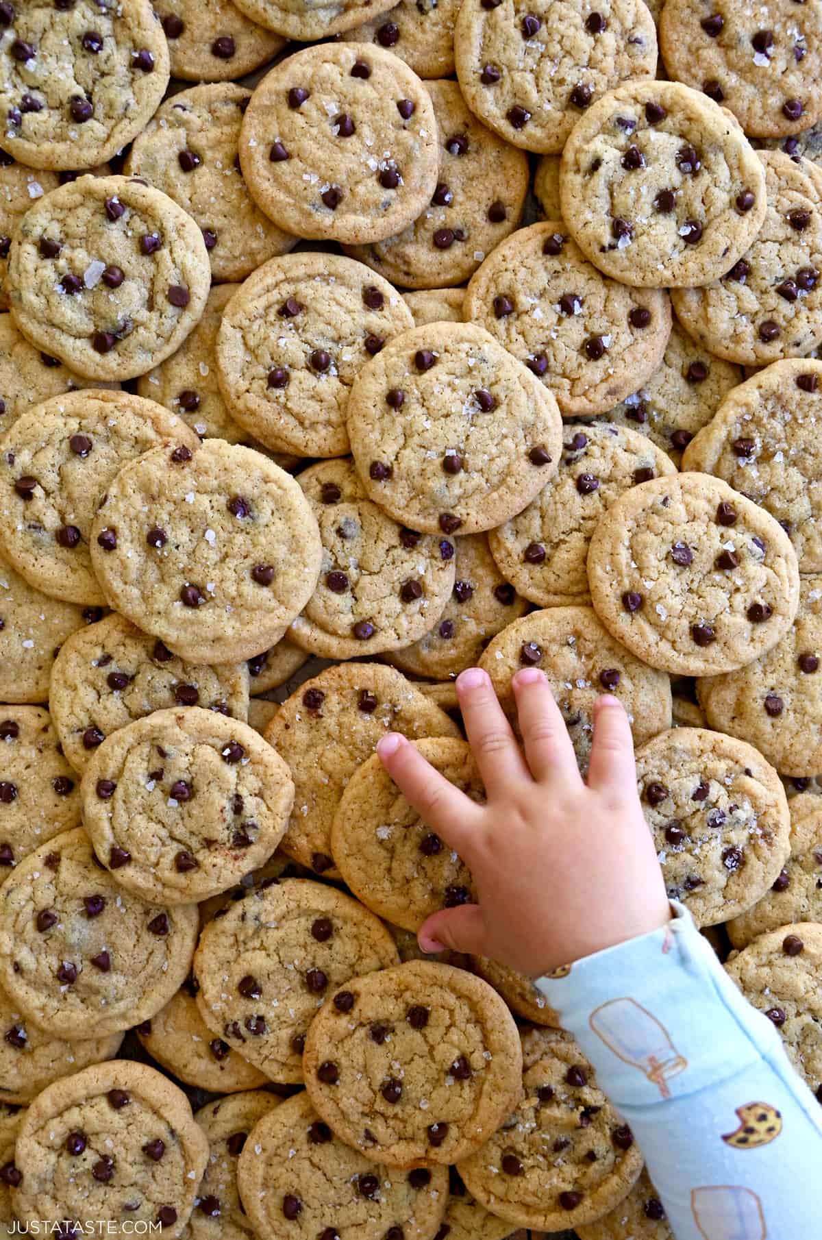 A pile of mini chocolate chip cookies with a child's hand reaching for a cookie.