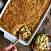 A top-down view of a white casserole dish containing turkey tetrazzini.