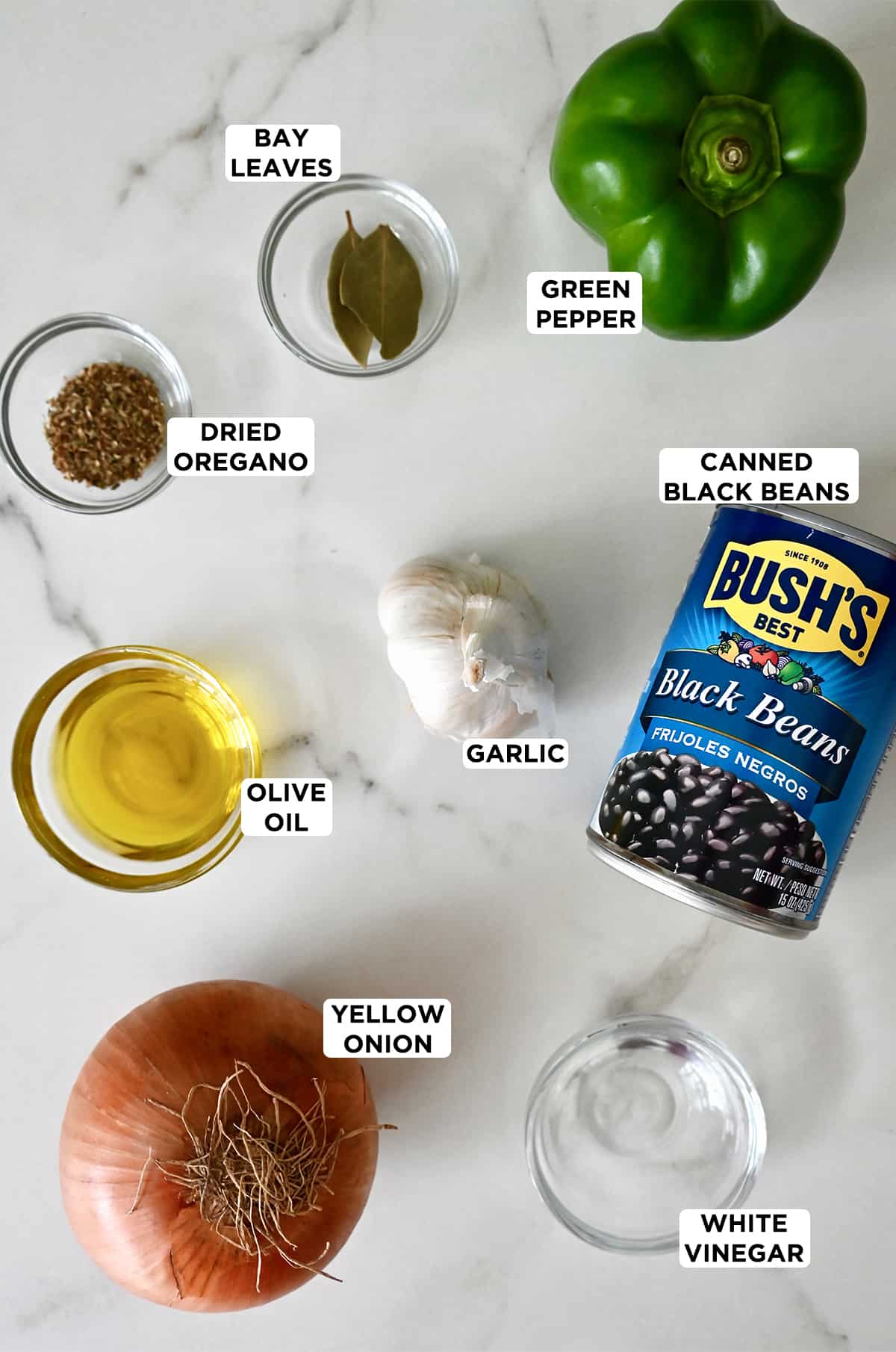 A can of black beans next to a head of garlic, a yellow onion, and small bowls containing olive oil, dried oregano, bay leaves, green pepper and white vinegar.