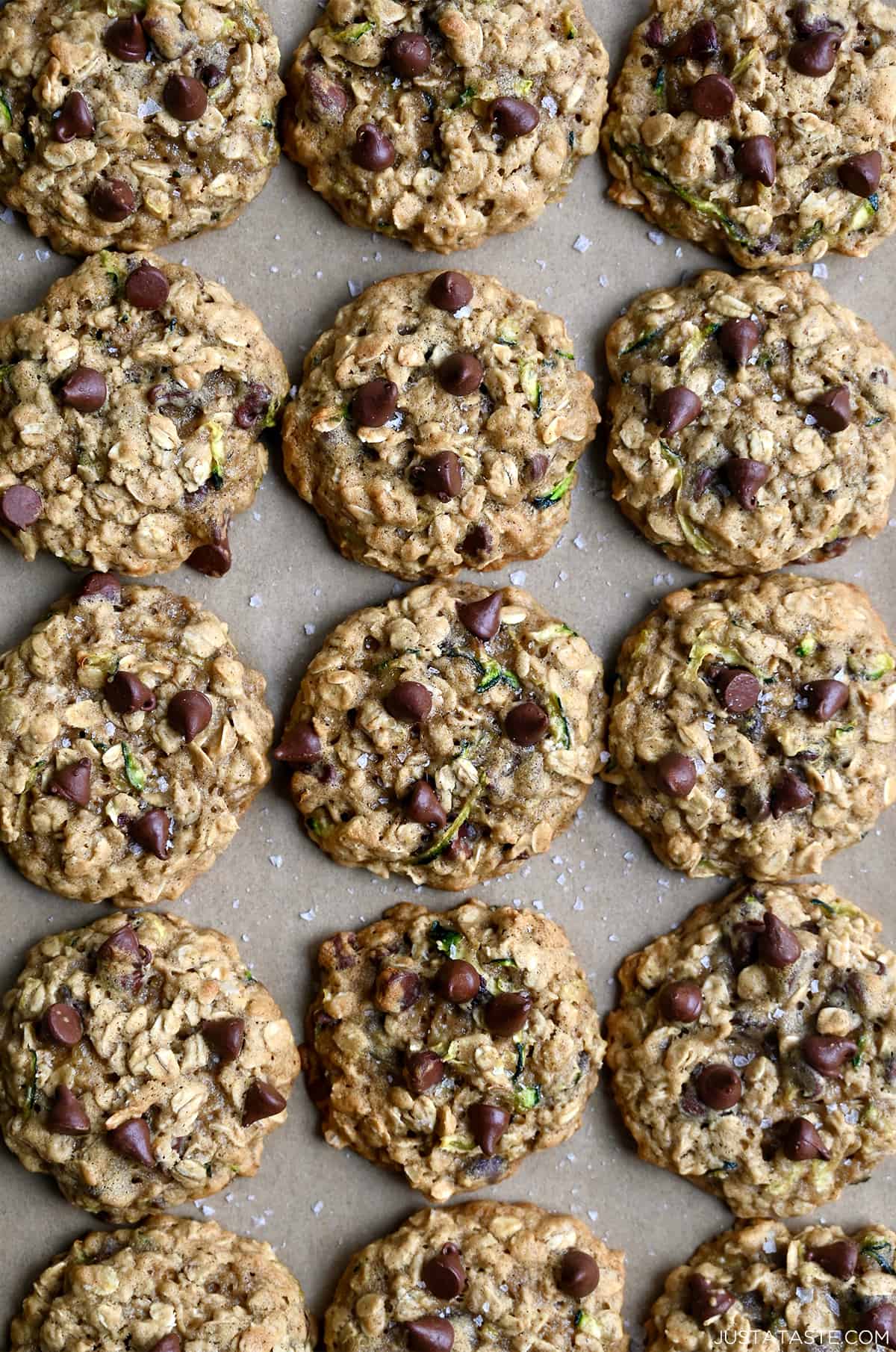 A top-down view of oatmeal zucchini cookies studded with chocolate chips.
