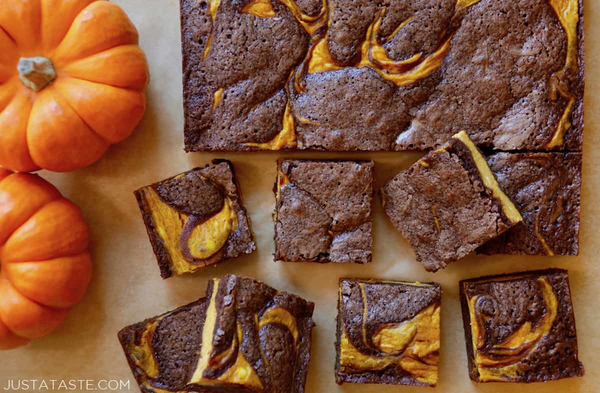 Several squares of pumpkin cheesecake brownies beside more brownies and two small pumpkins.