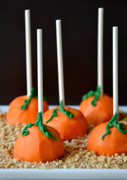 Pumpkin cheesecake pops sitting on graham cracker crumbs on a white serving platter.
