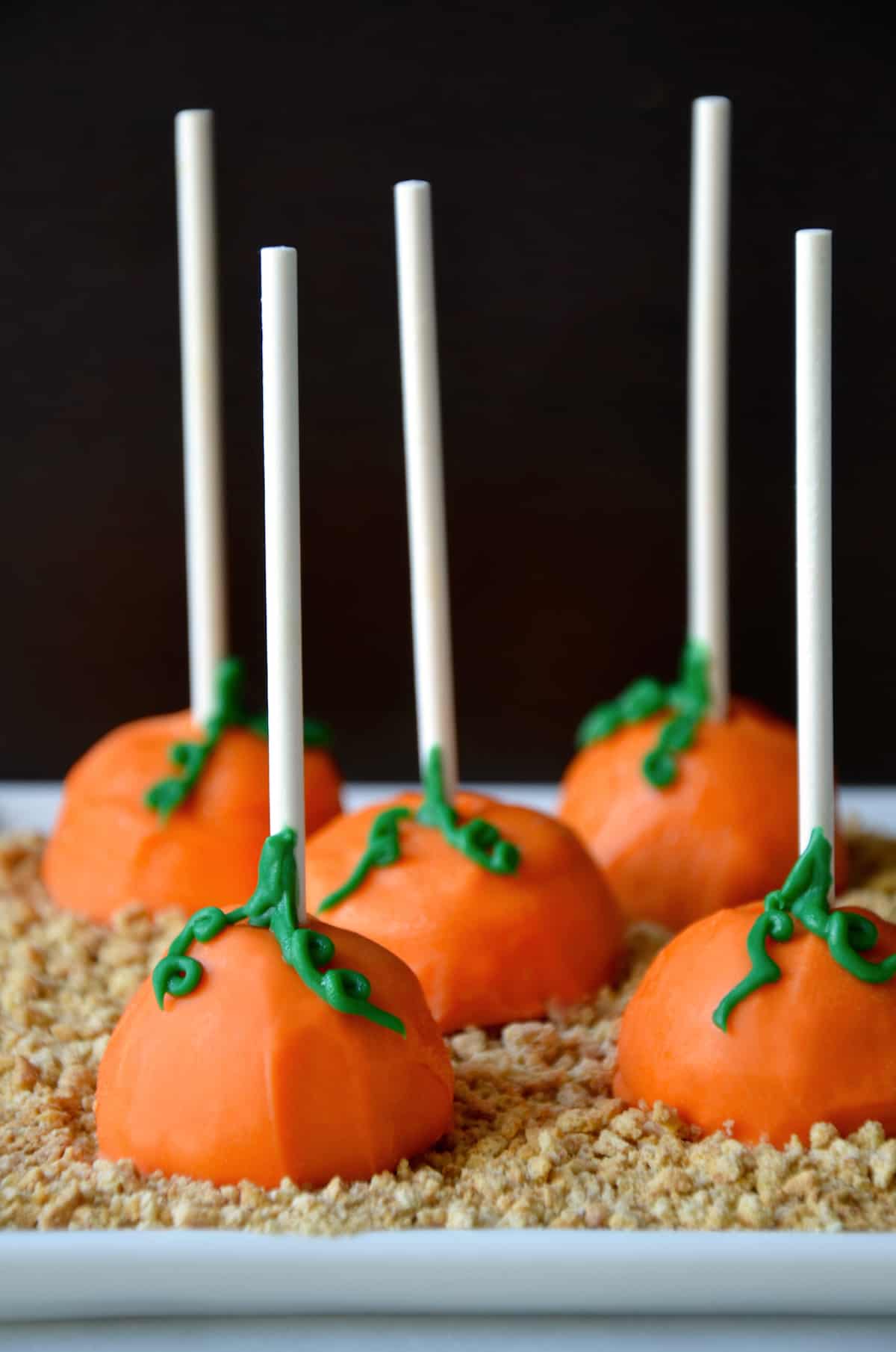 Pumpkin cheesecake pops sitting on graham cracker crumbs on a white serving platter.