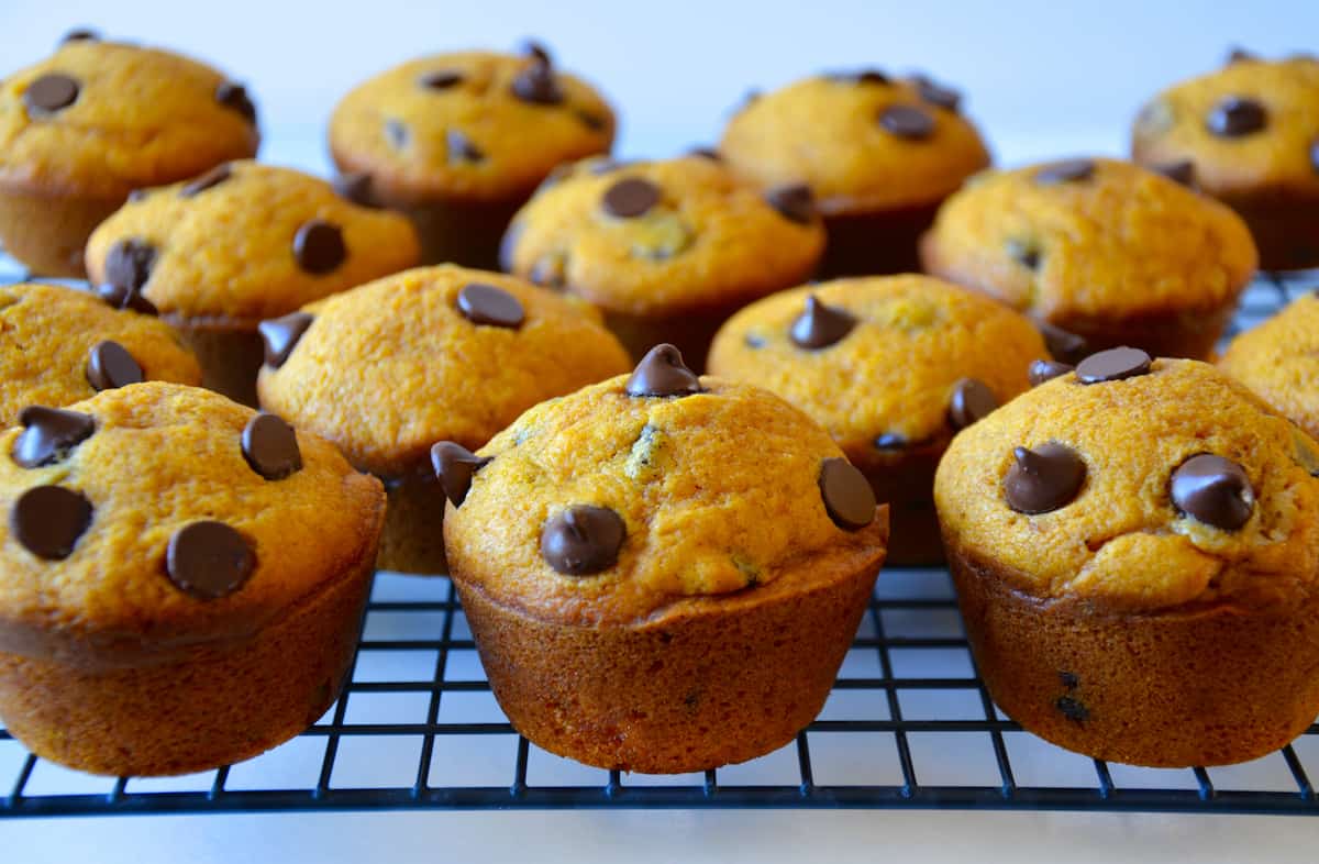 Pumpkin muffins topped with chocolate chips on a wire cooling rack.