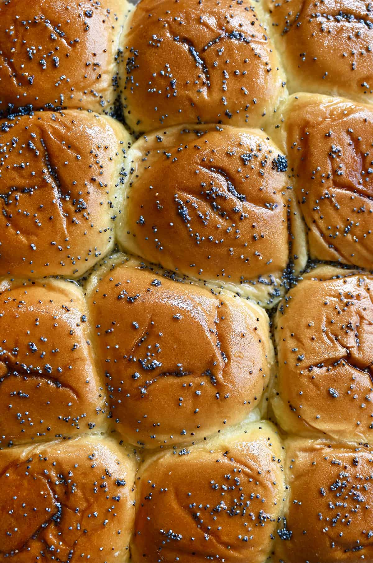 Hawaiian rolls topped with poppy seeds.