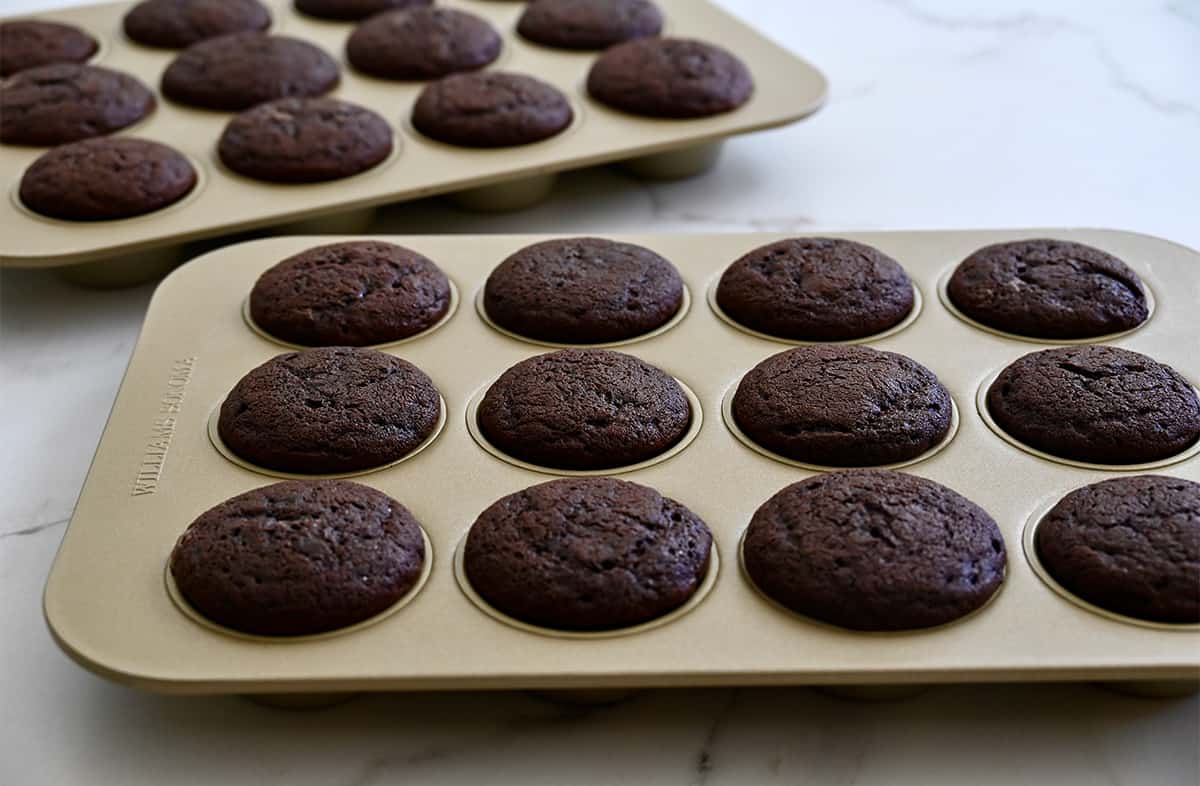 Freshly baked chocolate cupcakes in a muffin tin.