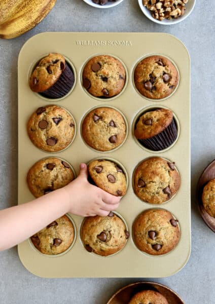 A child's hand reaches for a chocolate chunk Greek yogurt banana muffin in a muffin tin.