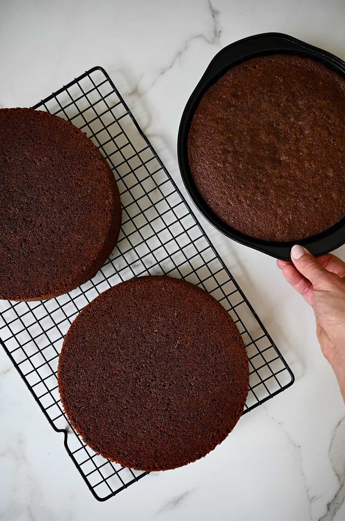 Two round chocolate cakes cooling on a wire rack next to a freshly baked cake in a round cake pan.