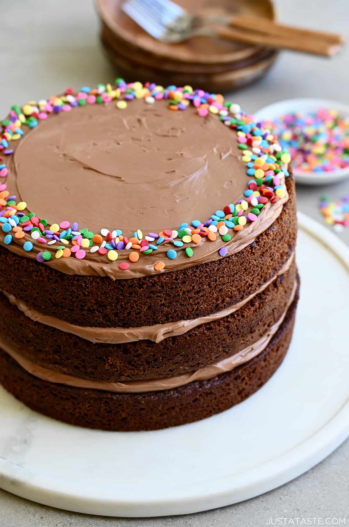 A three-tiered chocolate cake with layers of coffee frosting and topped with sprinkles.