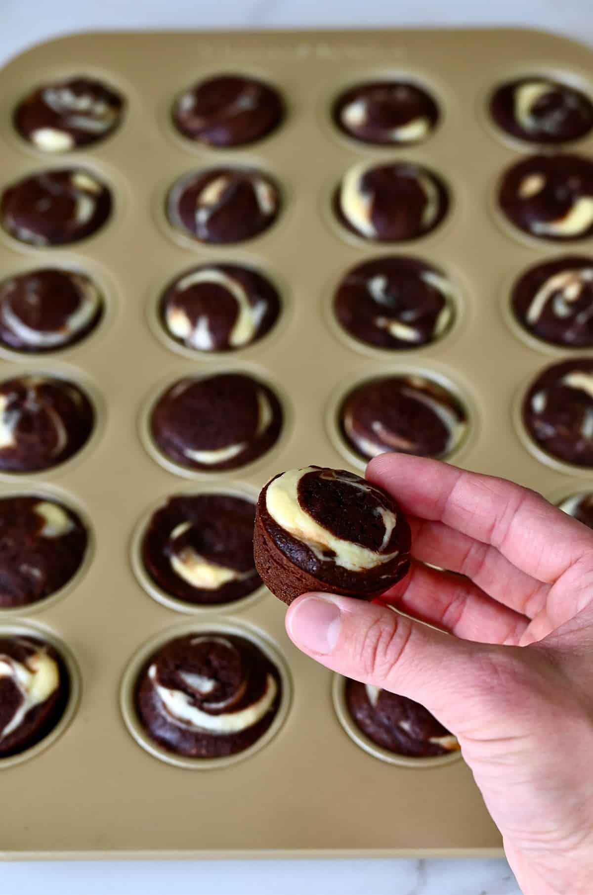 A hand holds a mini brownie bite swirled with cheesecake.