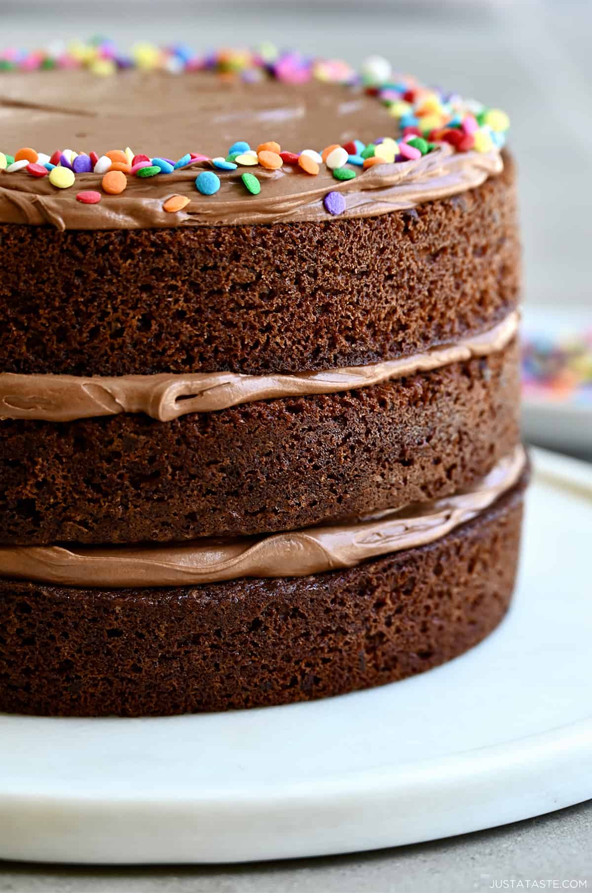 A three-tiered chocolate cake with coffee buttercream frosting and rainbow sprinkles on a round serving platter.