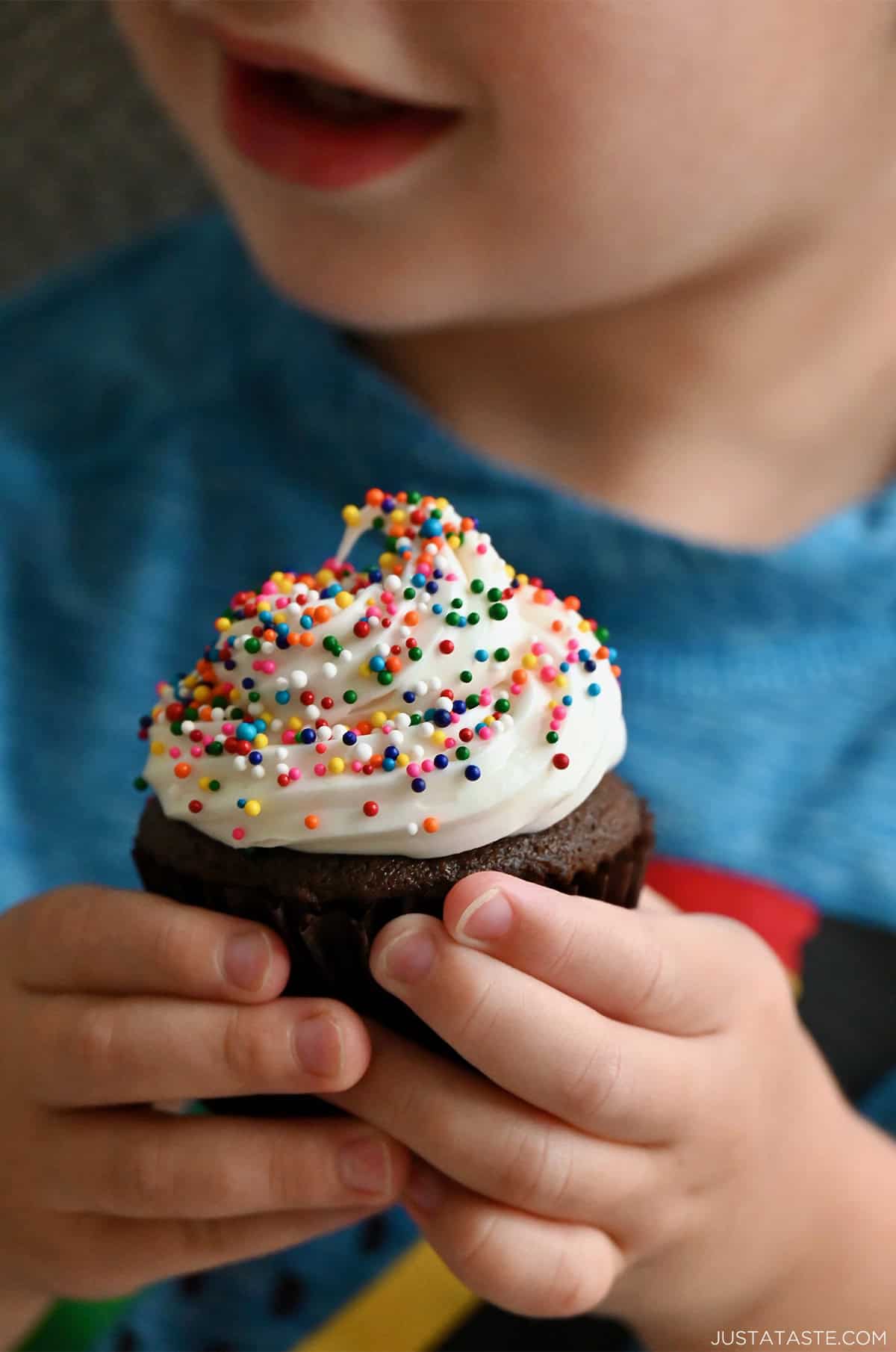 A close-up of a chocolate cupcake topped with vanilla buttercream frosting and rainbow sprinkles, in the hands of a little boy.