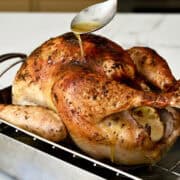 Basting a turkey that's on a roasting rack in a roasting pan.
