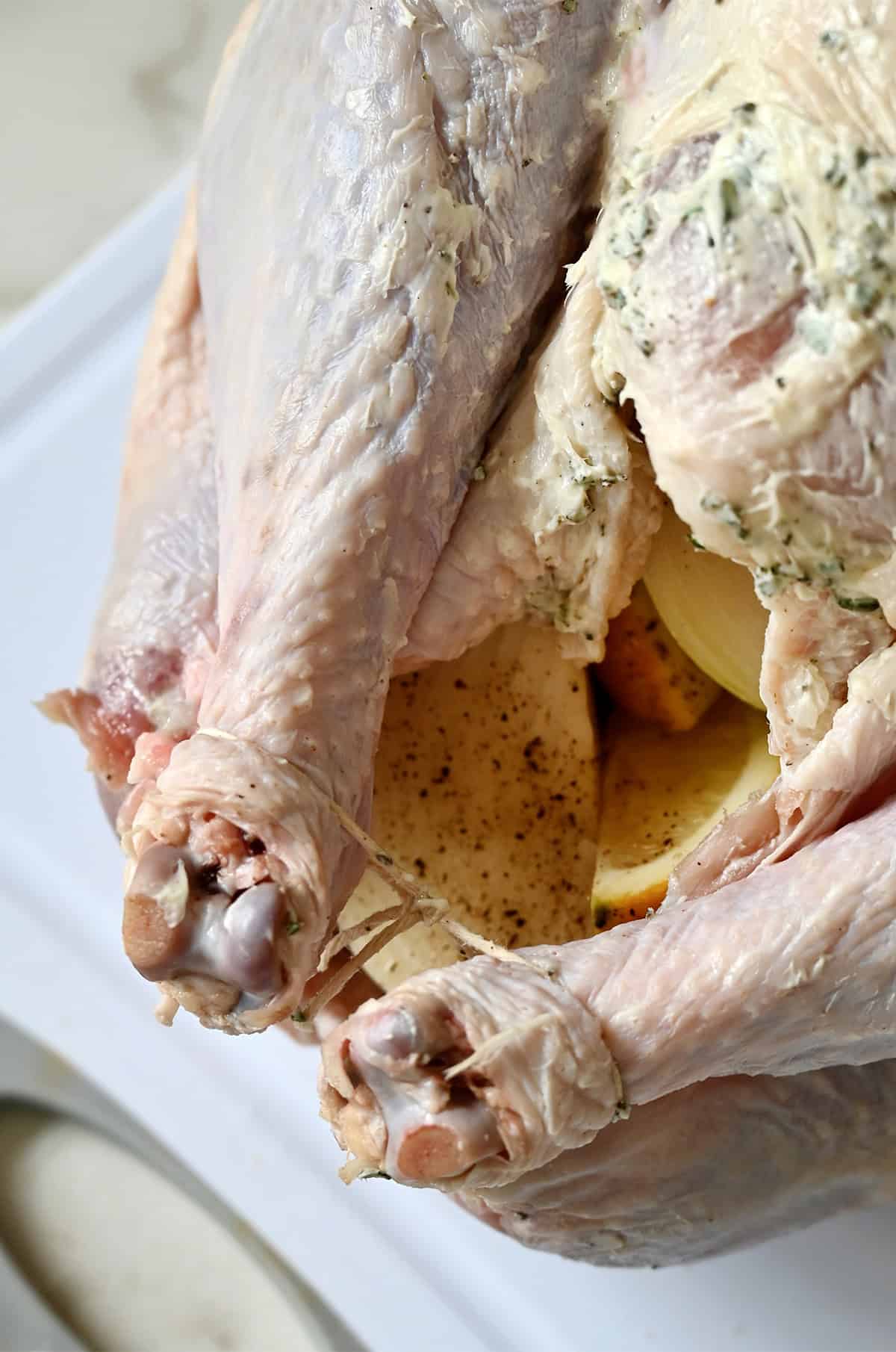 Turkey legs tied with kitchen twine.