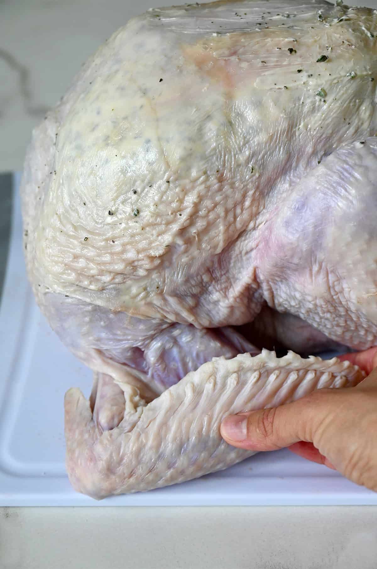 How to tuck a turkey wing underneath the top of the breasts.