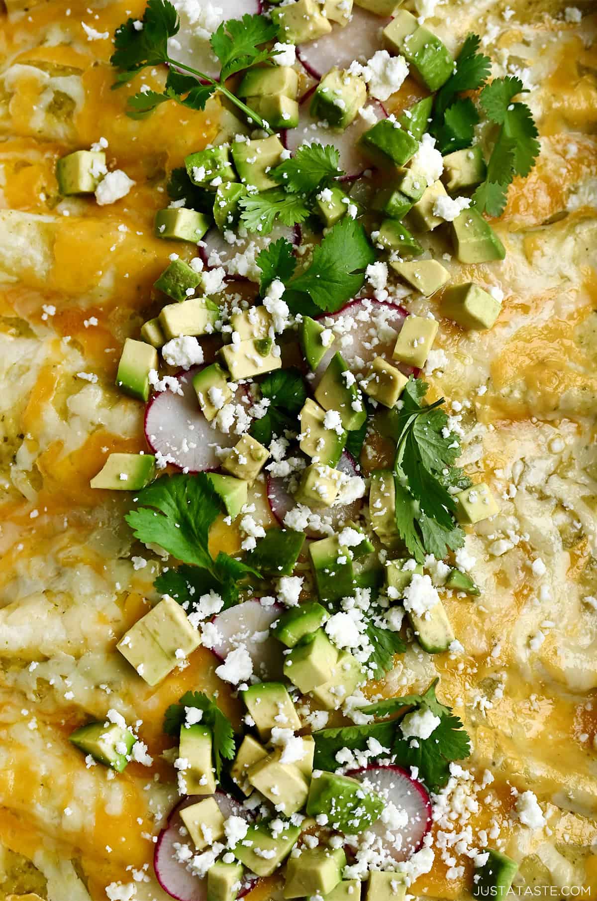 Melty cheese atop green enchiladas topped with diced avocado, sliced radishes, cilantro and cojita cheese. 