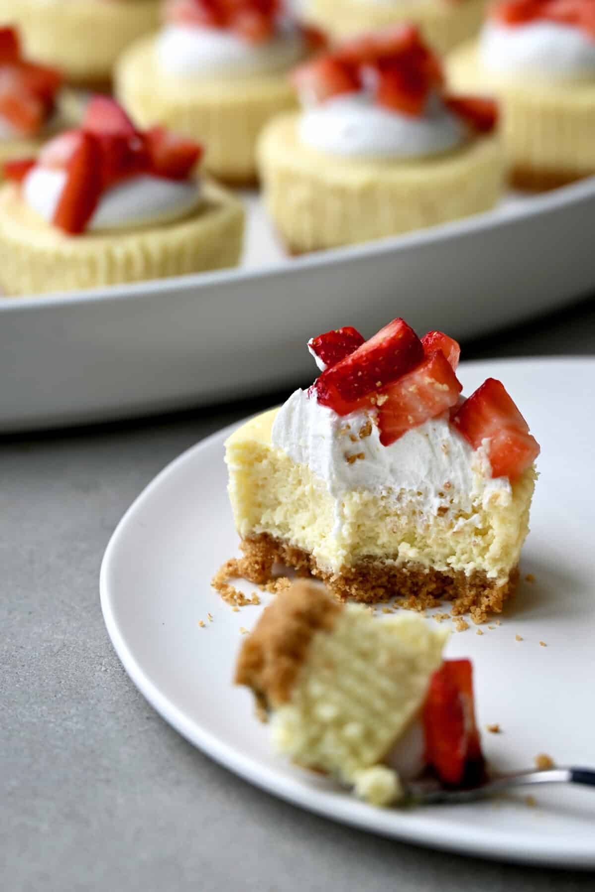 A cottage cheese cheesecake cup half eaten on a plate with a fork.