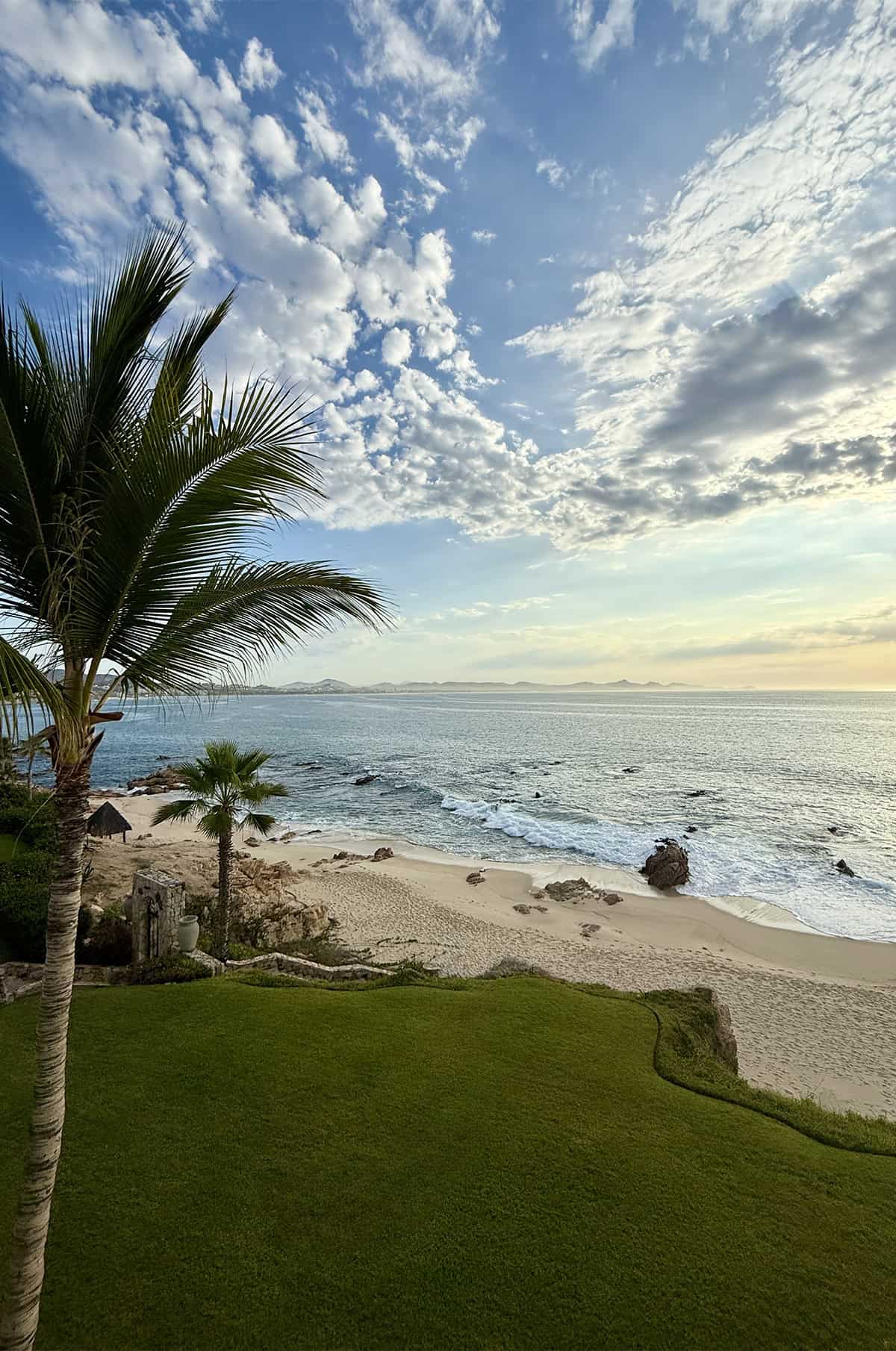 A Mexico sunrise with palm trees and green grass overlooking a beach