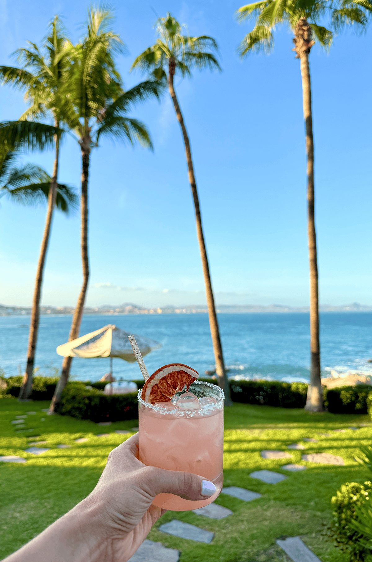 A hand holding a pink cocktail in from of palm trees and the ocean