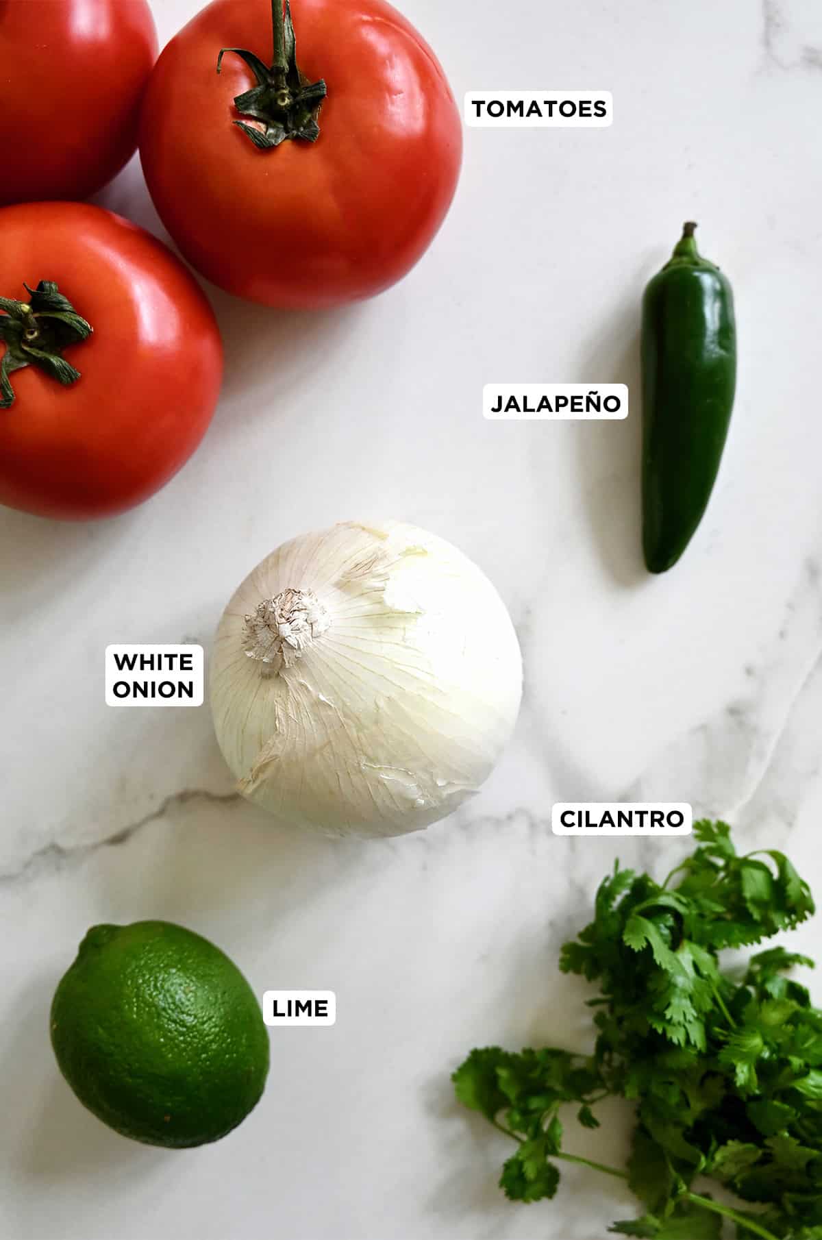 Pico de gallo ingredients: tomatoes, onion, jalapeño, lime and cilantro.