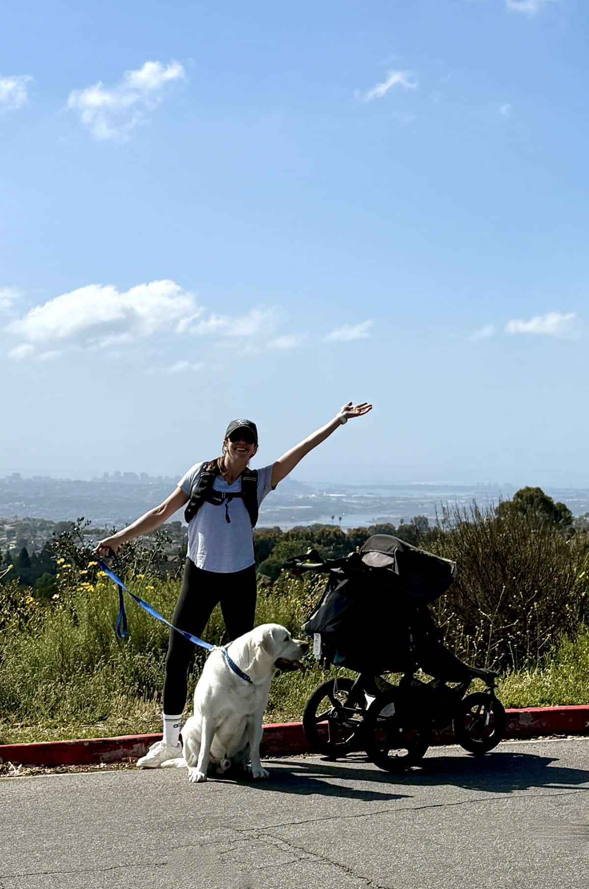 A woman holding a dog leash while rucking with a stroller