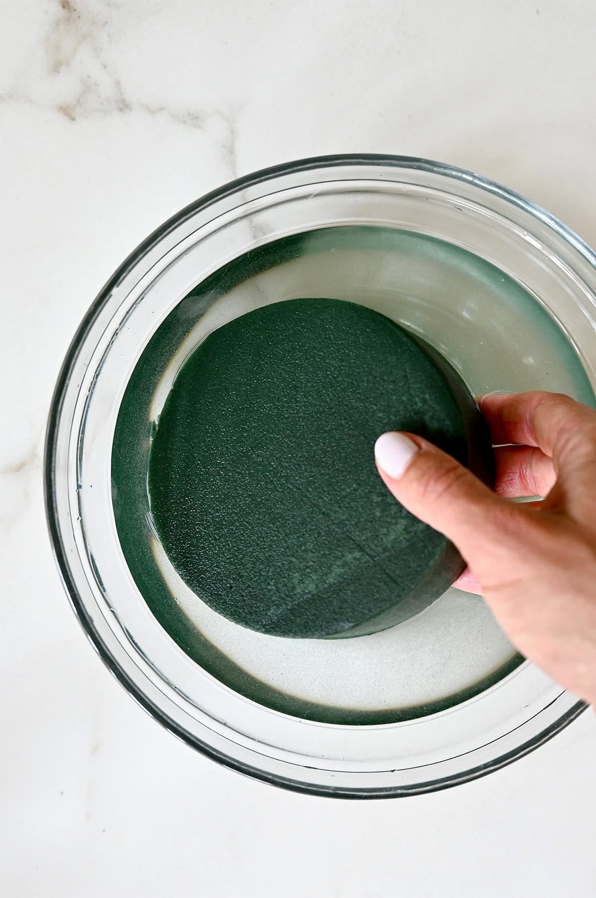 A piece of floral foam soaks in a bowl of water.