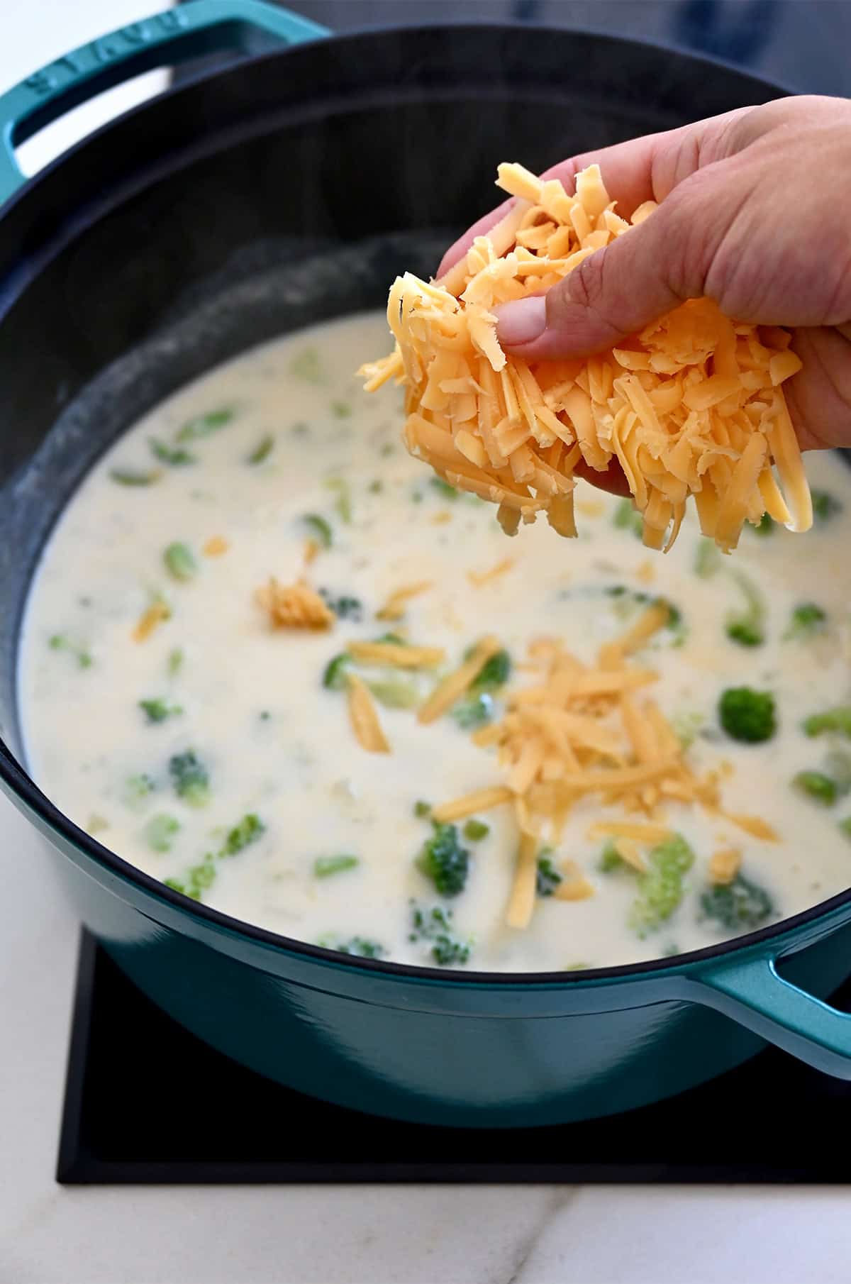 Adding a handful of shredded cheddar cheese to a stockpot containing a broccoli soup base.