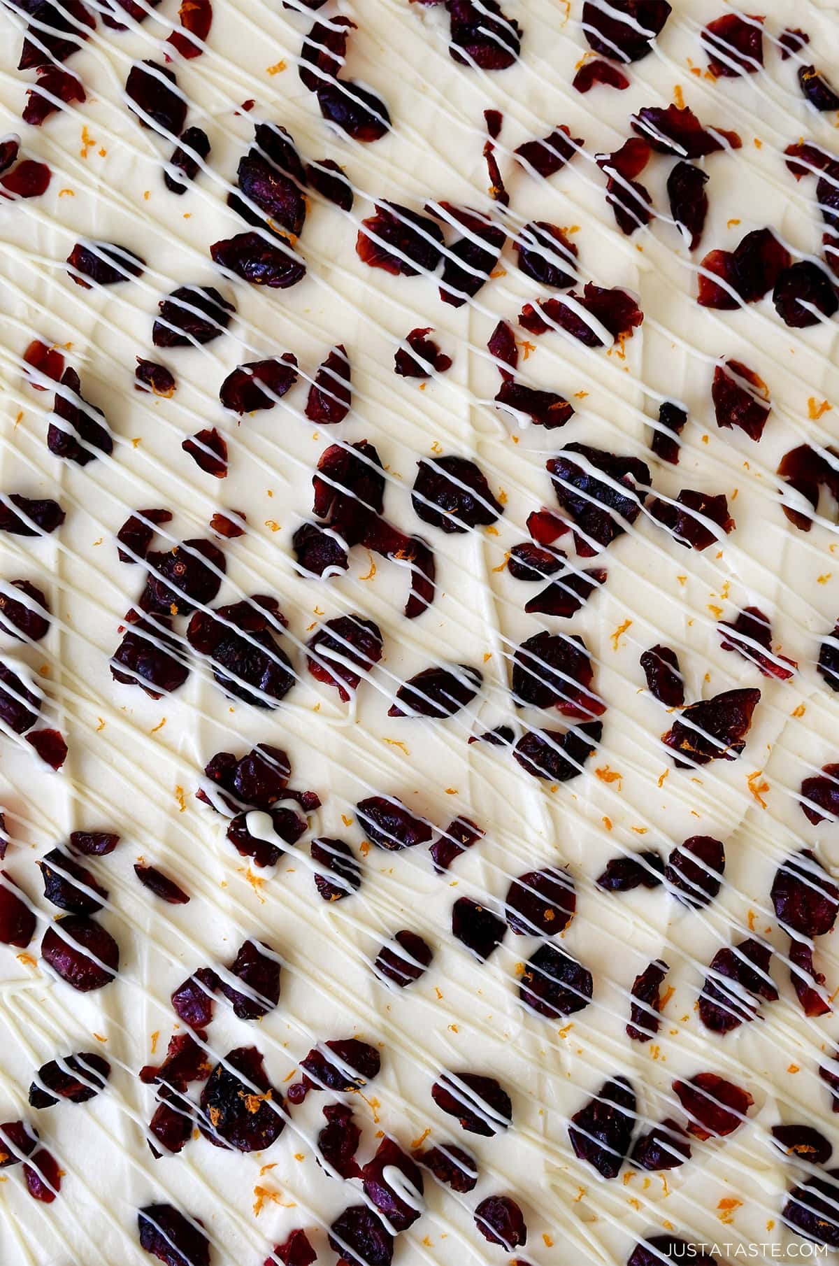 A close view of cream cheese frosting topped with dried cranberries, orange zest and melted white chocolate in a zigzag pattern.