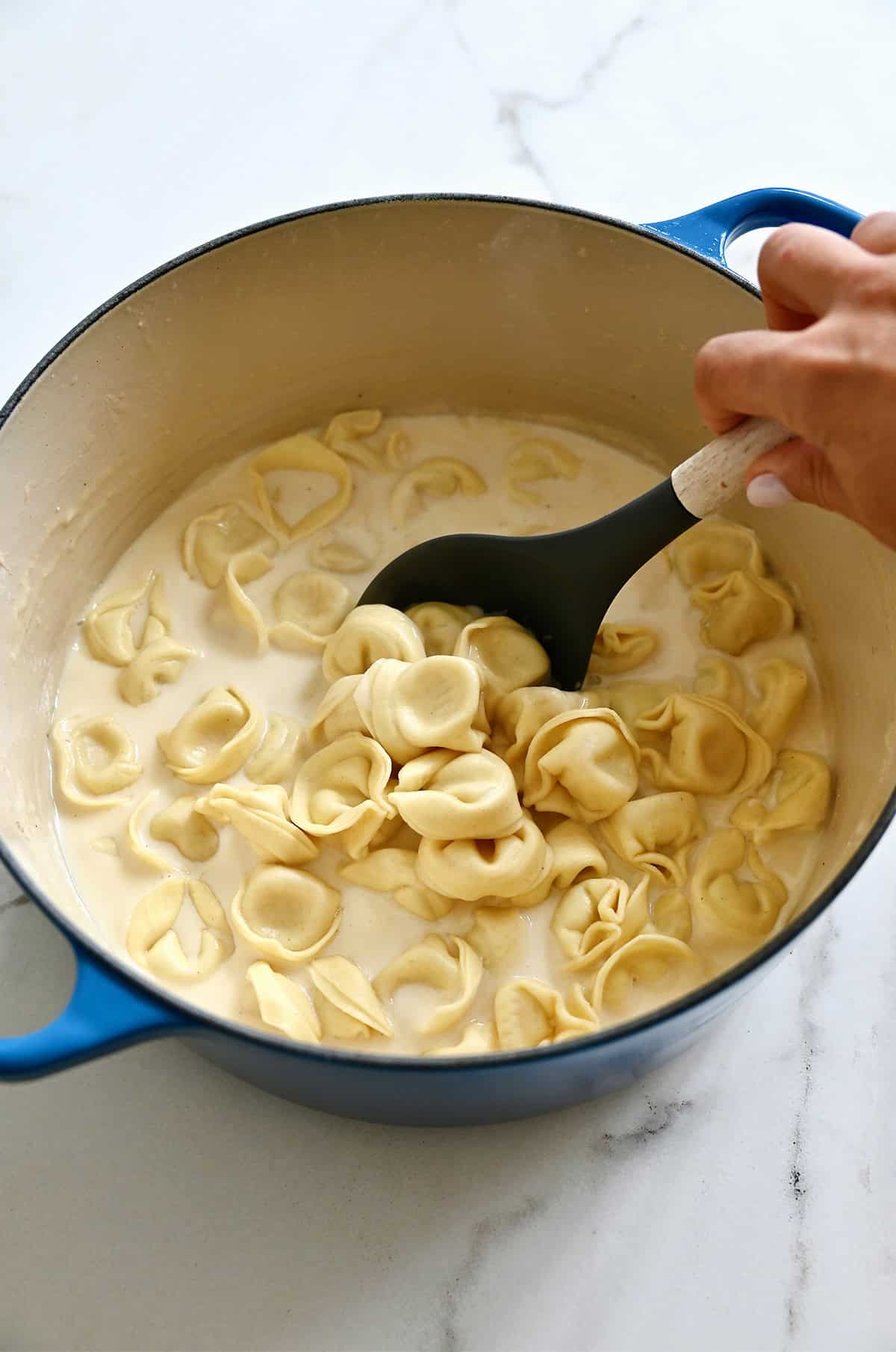 Cooked tortellini being tossed with a homemade Alfredo sauce in a large pot.