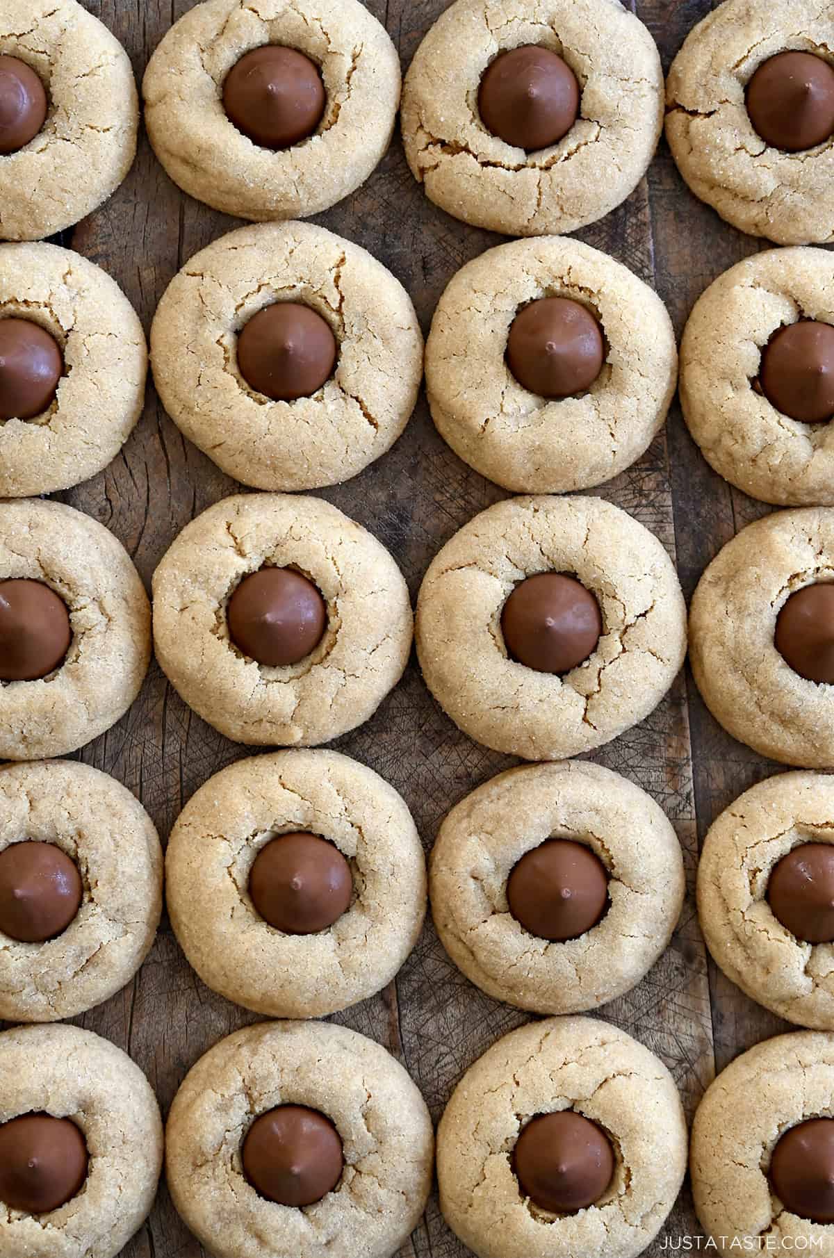 Four perfect rows of peanut butter blossoms on a wooden table.