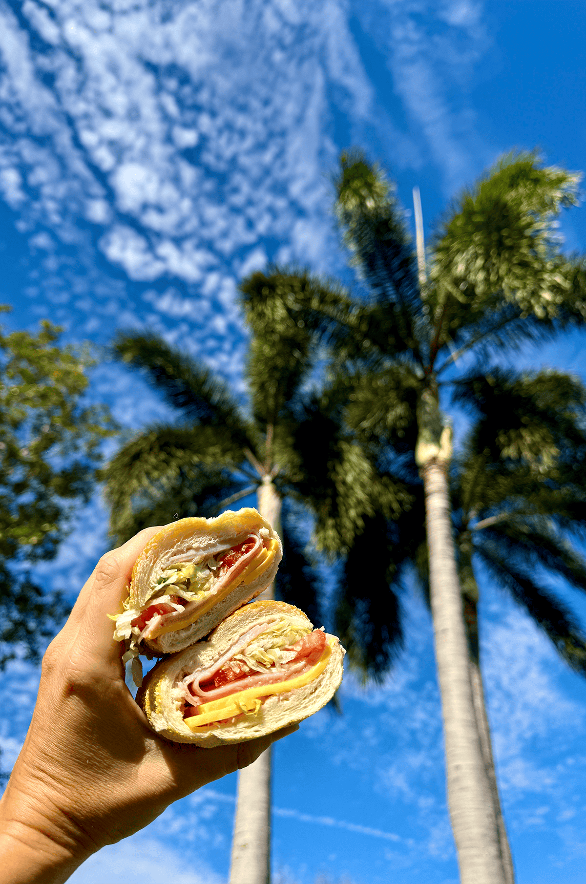 A Publix sub sandwich being held in the air with palm trees and blue sky in the background