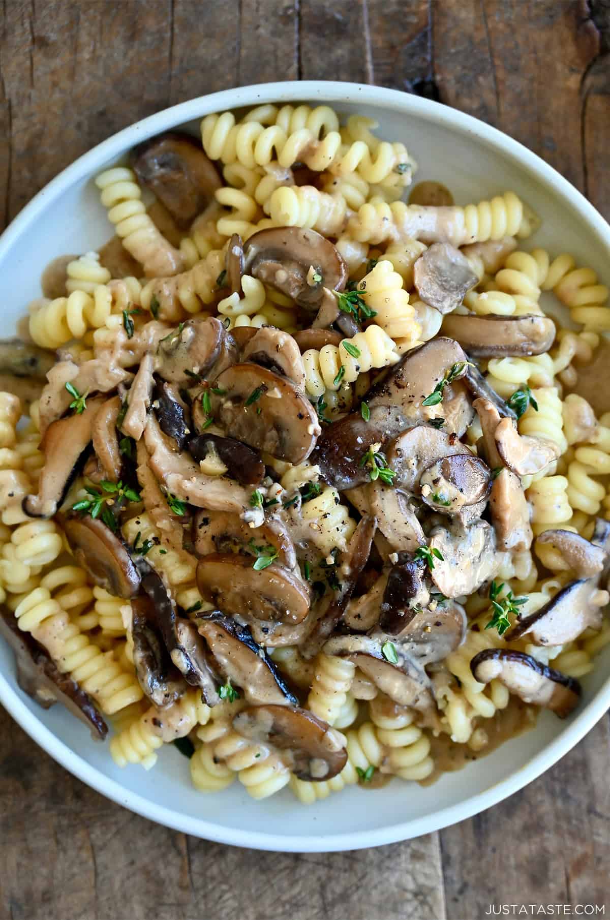 Creamy mushroom sauce over fusilli pasta on a white dinner plate.