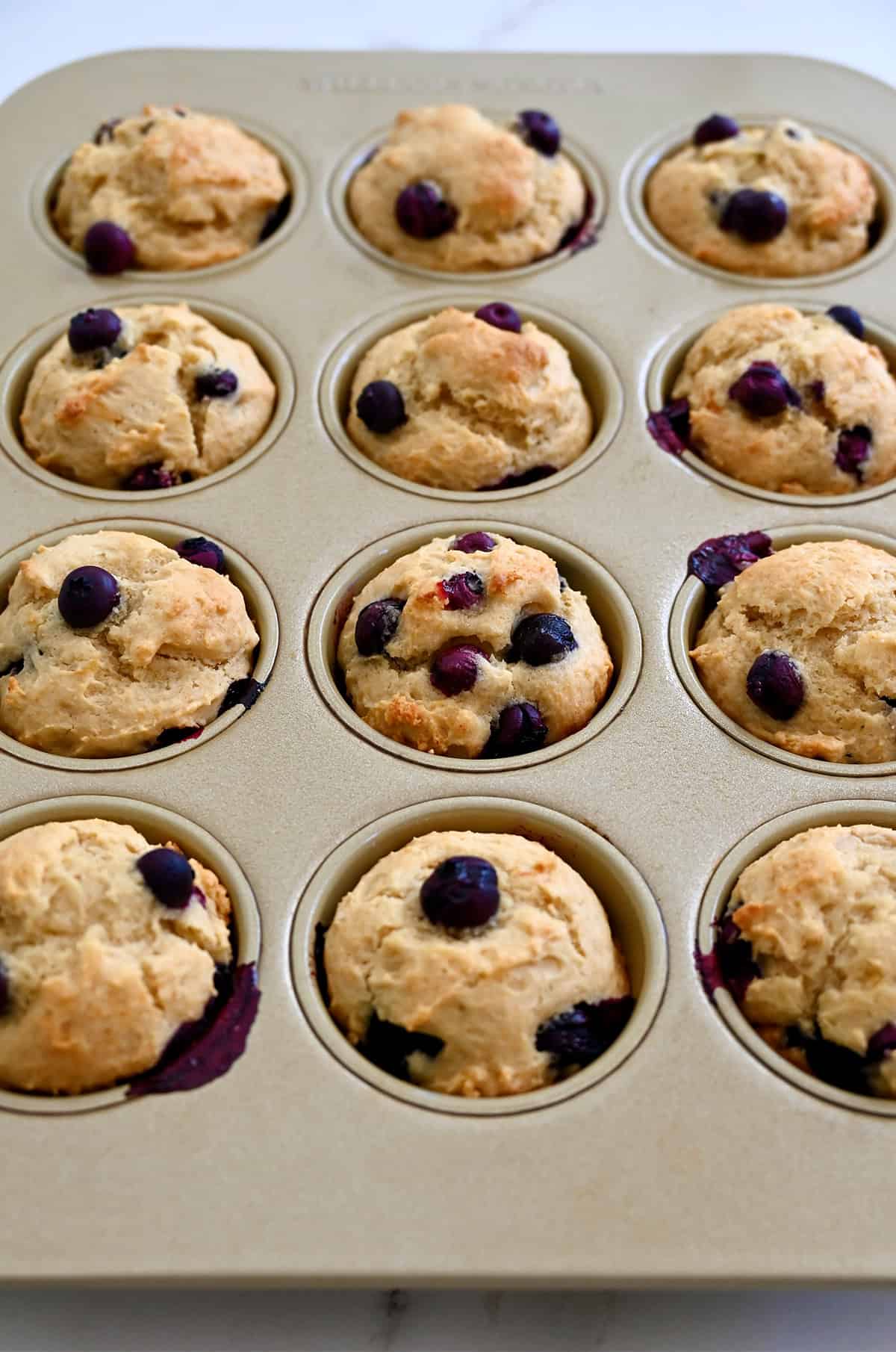 Freshly baked blueberry cottage cheese muffins in a muffin pan.